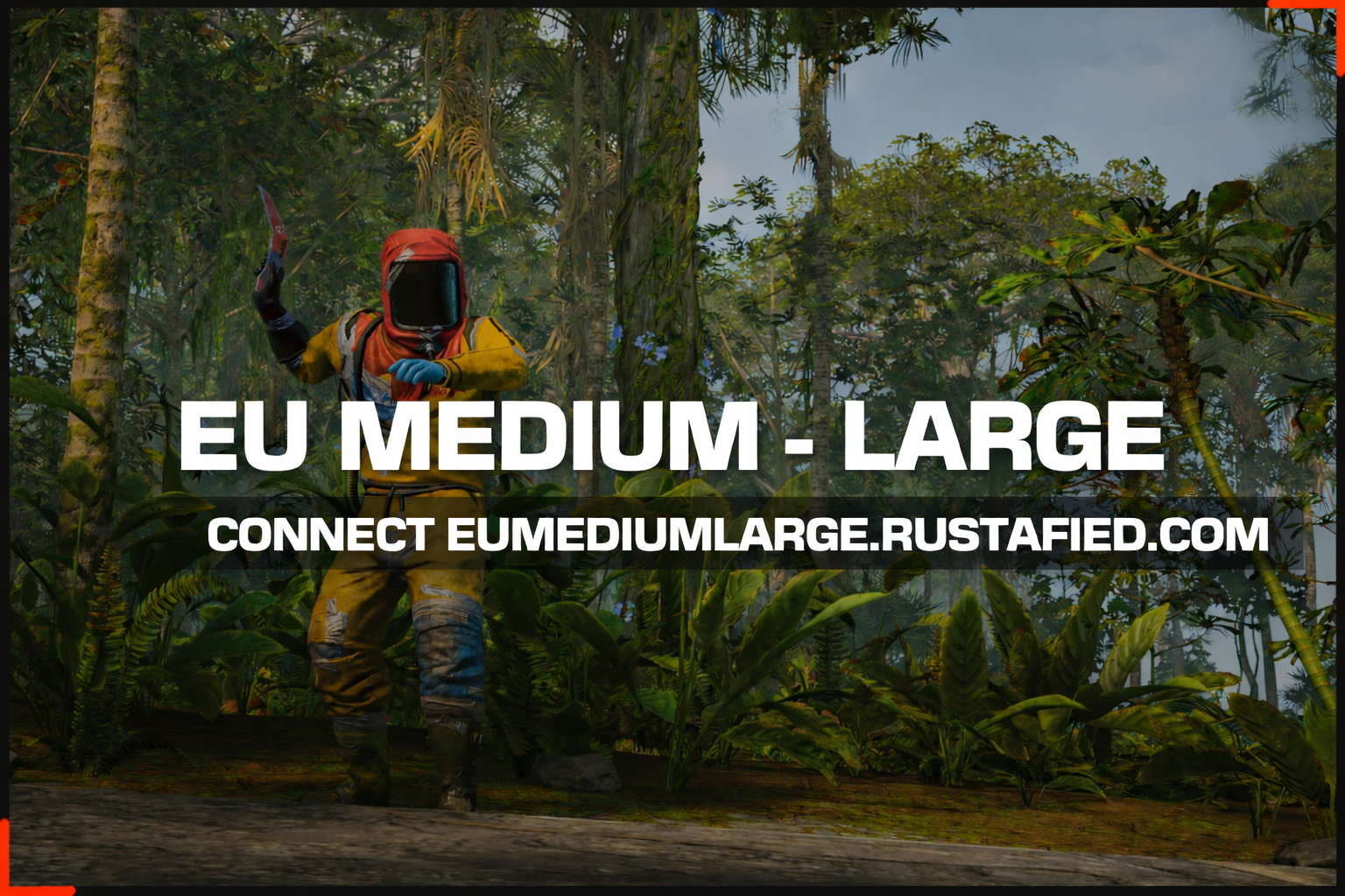 - EU Medium - Large